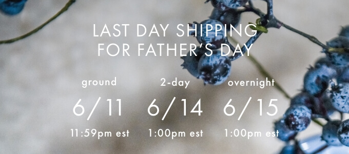 Order by these dates for shipping in time for Father's Day Delivery*. Ground - 6/11; 2Day - 6/14; Overnight - 6/15