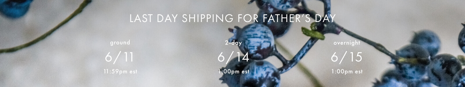 Order by these dates for shipping in time for Father's Day Delivery*. Ground - 6/11; 2Day - 6/14; Overnight - 6/15